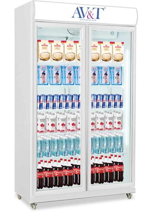 double door visi freezer